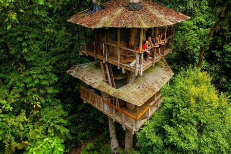 The Worlds Best Tree Houses Architecture Slaylebrity