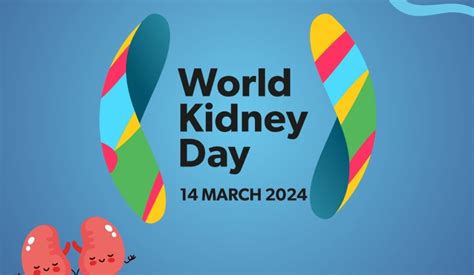 World Kidney Day 2024: History, Theme, Significance & Importance ...