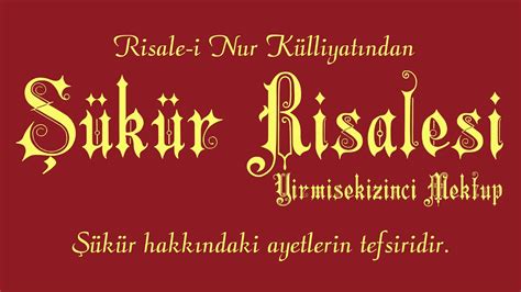 Risale i Nur Külliyatı Mektûbat Yirmisekizinci Mektup Şükür Risalesi