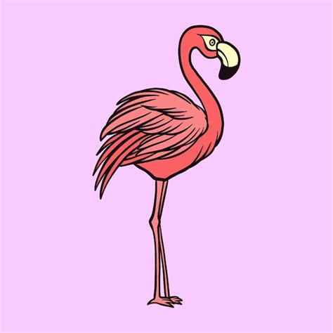 Flamingovogelzeichnung Vektoren Und Illustrationen Zum Kostenlosen