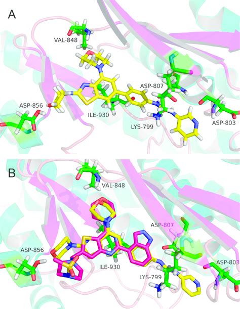 A schematic of the binding mode of compound 11 with PI3Kβ kinase