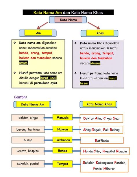 Kata Nama Am Dan Kata Nama Khas Exercise Teachers Online Activities Workbook