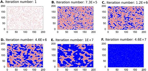 Cell Occupation Dynamics Of The Stochastic Model We Present The