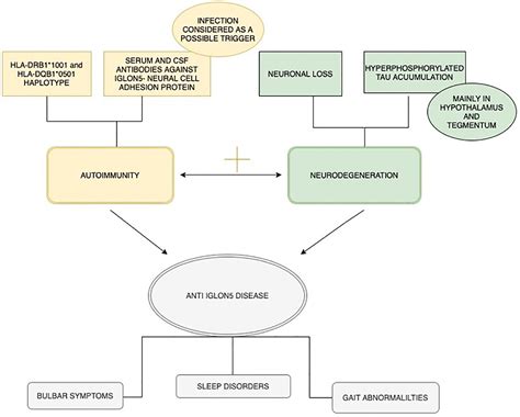 Frontiers Anti Iglon5 Disease The Current State Of Knowledge And Further Perspectives