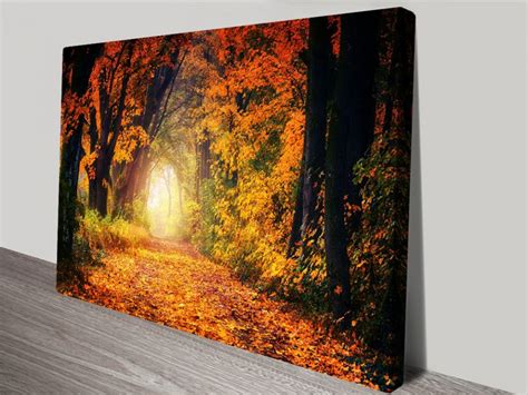 Vision Of Autumn Framed Canvas Wall Art Marino Adelaide Australia