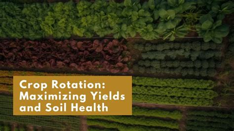 Crop Rotation: Maximizing Yields and Soil Health | Harisharan Devgan