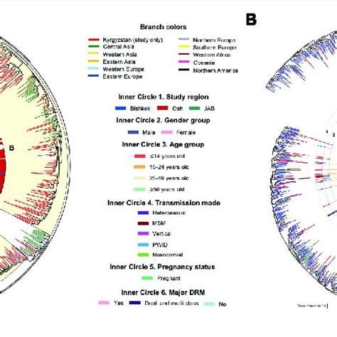 Maximum Likelihood Phylogenetic Trees Of Hiv 1 Pol Sequences Of