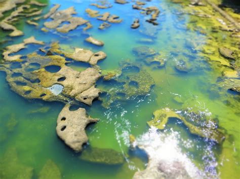 Le Saut De La Saisse Et Les Marmites De G Ants Pont De Poitte Jura