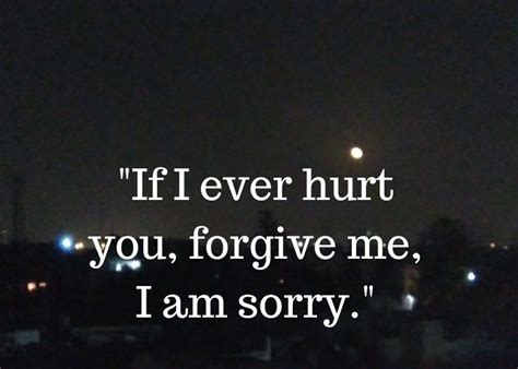 Sorry For Hurting You Quotes - ShortQuotes.cc