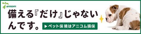 犬 熱があるとき 650447 犬 熱がある時の行動