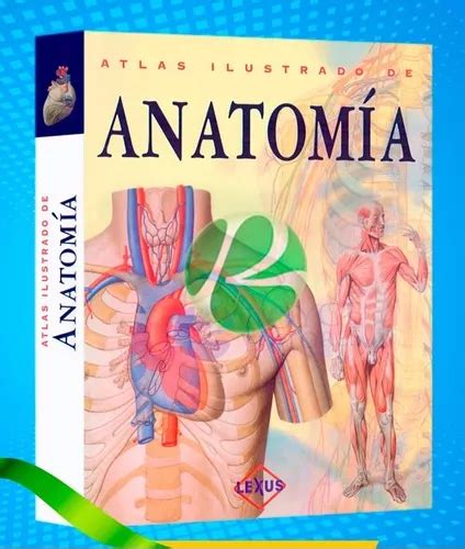 Atlas Ilustrado De Anatomía Envío gratis