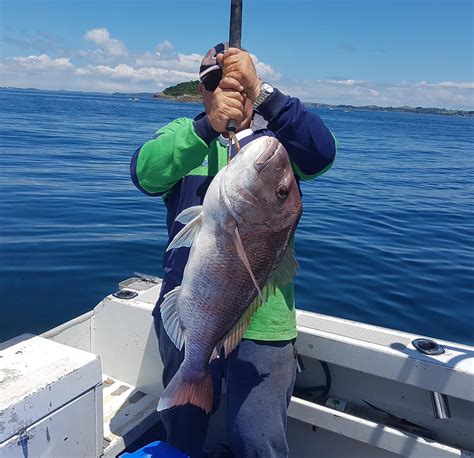 Hauraki Gulf Fishing Charters In Auckland Kingfish Snapper Fishing