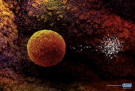 Durex Gay Parade Marc Mallafr