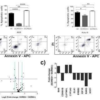 Sore Cells Are More Resistant To Fluorouracil Fu Than Sore