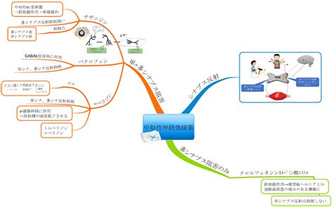 中枢系筋弛緩薬の解説：単シナプス反射・多シナプス反射とは？ マインドマップ薬学
