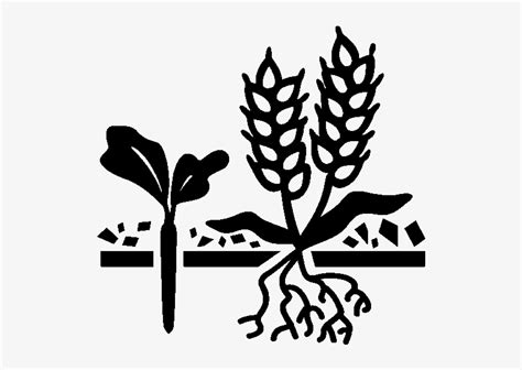 Cover Crops Icon Logo Stencil About Soil And Water Conservation