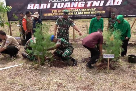 Kodam Xvii Cenderawasih Tanam Ribuan Pohon Di Cagar Alam Cycloop