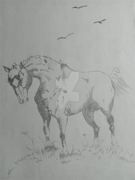 Horse pencil drawing by RAN66art on DeviantArt