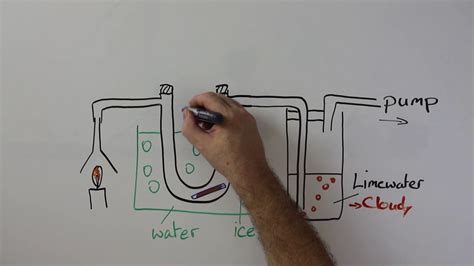 Products Of Hydrocarbon Combustion Experiment Youtube