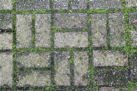 Pavement Texture Stock Photos, Images and Backgrounds for Free Download