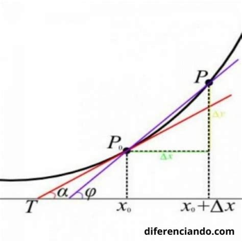 Tipos De Argumento Con Ejemplos Diferenciando Hot Sex Picture