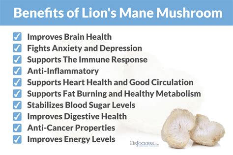 10 Benefits of Lion's Mane Mushroom - DrJockers.com