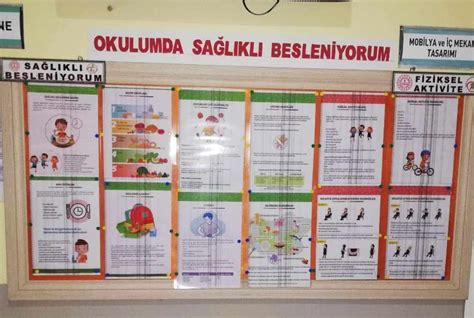 Okulumda Sağlıklı Besleniyorum Programı Etkinlik ve Faaliyetleri