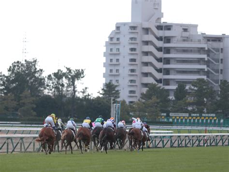 【中京3r新馬戦結果】ナダル産駒ベルギューンが抜け出し快勝（netkeiba）｜dメニューニュース（nttドコモ）