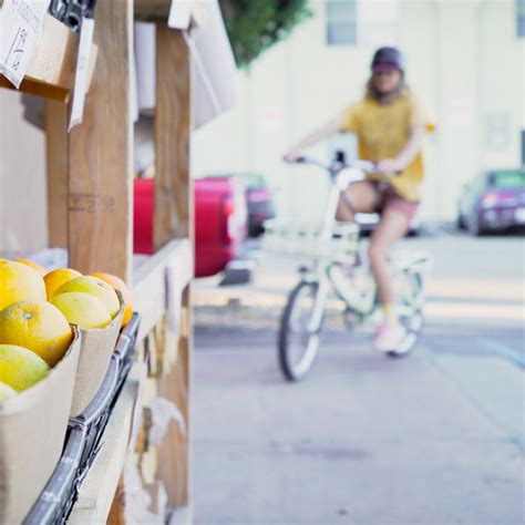 3 Reasons the Vika+ is a Traveler’s Best Friend – Blix Electric Bikes