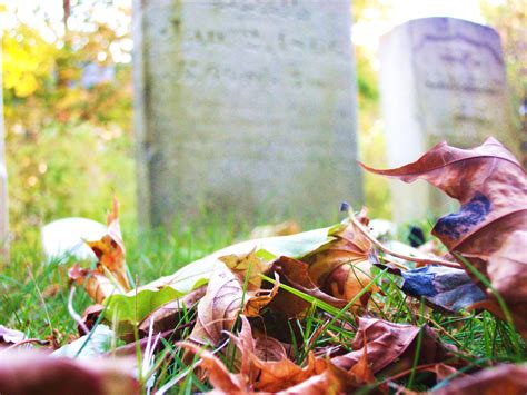 Download Free Photo Of Autumnfallcemeterygraveyardgravestones