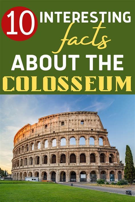 Interesting Facts About The Colosseum Ancient Rome Architecture