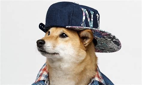 Rapper Dog Names Inspired by Rap Music – Pet Guide Reviews