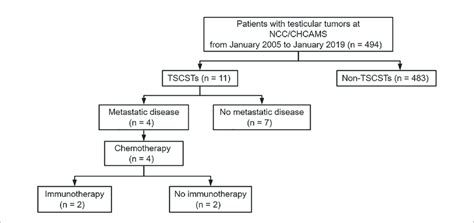 Flowchart Of Screening Patients Nccchcams National Cancer