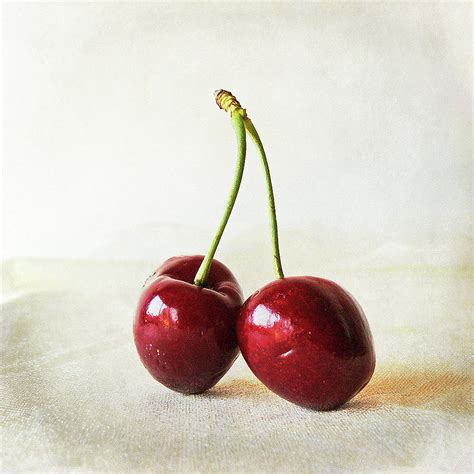 Two Cherries By By Margoluc