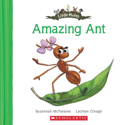 The Store Amazing Ant Book The Store