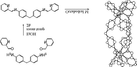 Synthesis Of A Supramolecular Cylinder Download Scientific Diagram