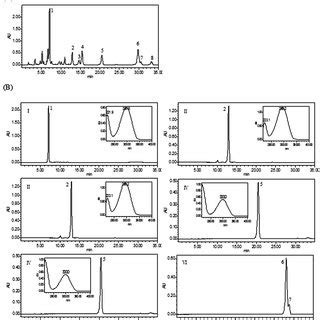 HPLC Chromatogram Of The Crude Extraction Of Radix Isatidis By 50