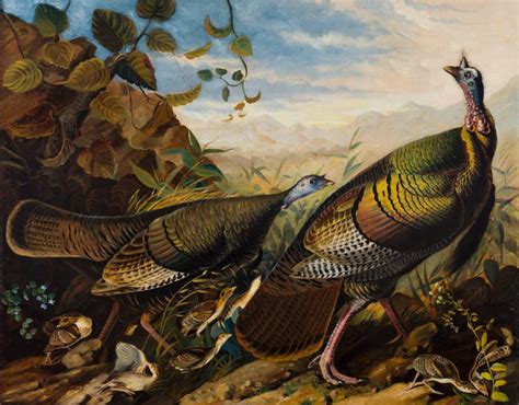 Джон Джеймс Одюбон (John James Audubon): птицы Америки, Flamingo, Elk и ...