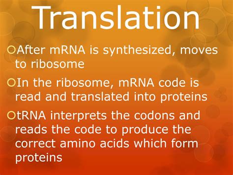 Ppt Dna Rna Protein Synthesis Powerpoint Presentation Free