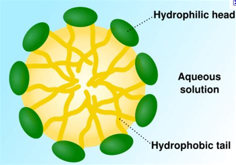 Chm Exam Thermodynamics Water And Dna Flashcards Quizlet