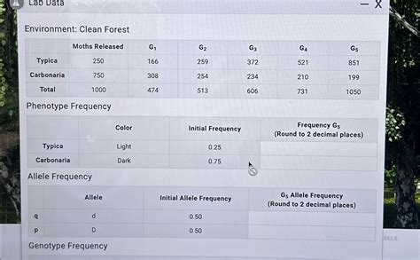 Solved Environment Clean Forest Table Moths Chegg