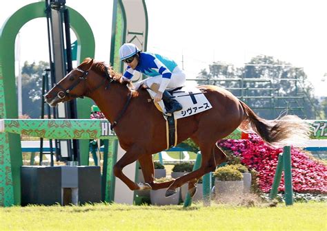 【新馬戦】良血馬シヴァース 人気に応え鋭伸 友道師「お母さんに似ている」 競馬ニュース Netkeiba