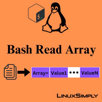 How To Read Into Bash Array Methods