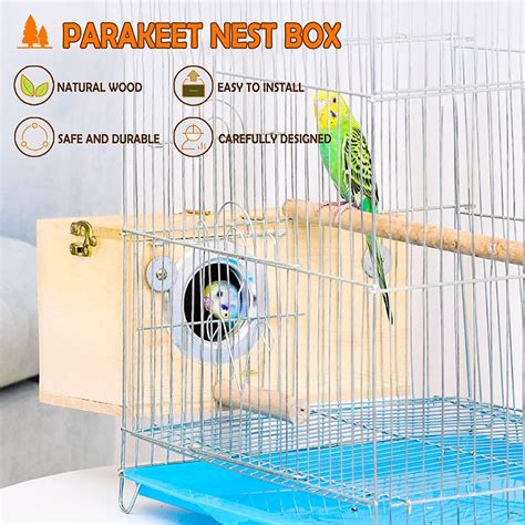 Best Nesting Material For Budgies Tca Dothome Co Kr