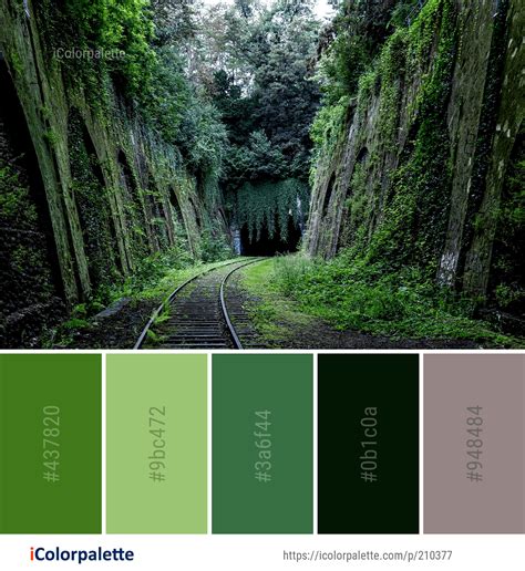 Color Palette Ideas From Nature Images Icolorpalette Color