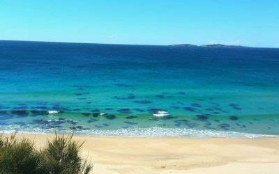 Surfbeach Holiday Park Narooma – Providing the closest accommodation to ...