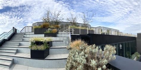 Rooftop Garden Building London Fasci Garden