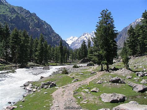 Naltar Valley Pakistan Wallpapers - XciteFun.net