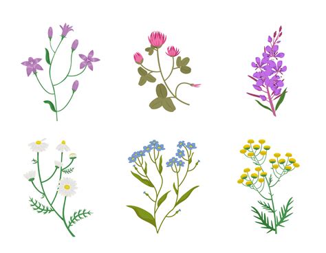 Set of different wildflowers. Beautiful flower twigs in cartoon style ...