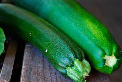 How To Cook Zucchini On The Stove • Longbourn Farm